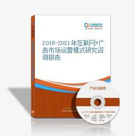 2016-2021年互聯網+廣告市場運營模式研究